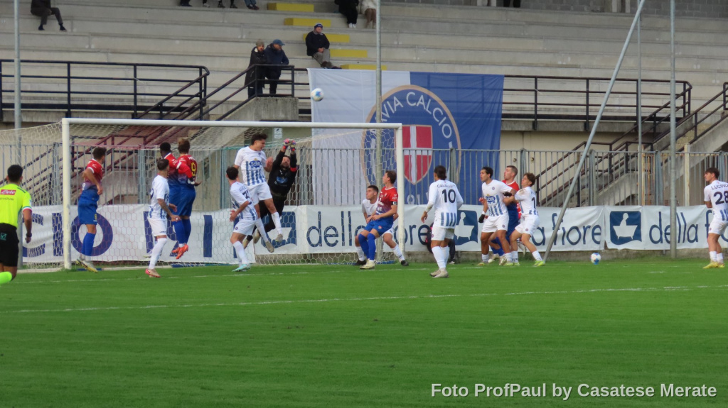 Le immagini di Pavia – Casatese Merate
