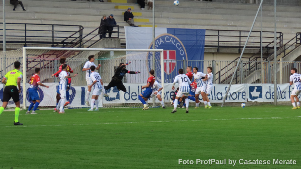 Le immagini di Pavia – Casatese Merate
