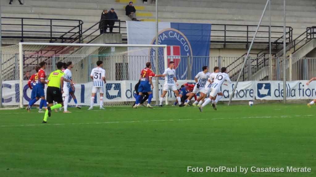 Le immagini di Pavia – Casatese Merate